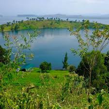 Festival Amani : Plus de huit mille adhérents à la pétition contre l&rsquo;exploitation du pétrole dans le parc des Virunga