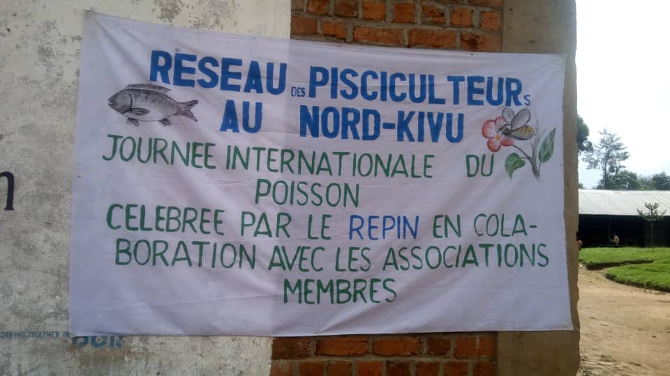 JOURNEE NATIONALE DU POISSON: LE GOUVERNEMENT CONGOLAIS APPELÉ À PROMOUVOIR LA PISCICULTURE