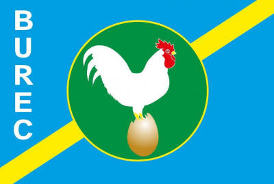 Nord-Kivu : Grogne des jeunes du Burec après l&rsquo;exclusion temporaire de leur Coordonnateur interfédéral