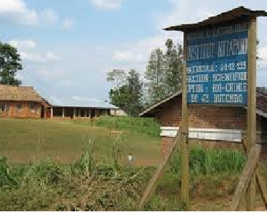 Lubero : Plus de 30 000 Usd et 25 Millions de Fc, volés dans une coopérative à Njiyapanda (Nord-Kivu)