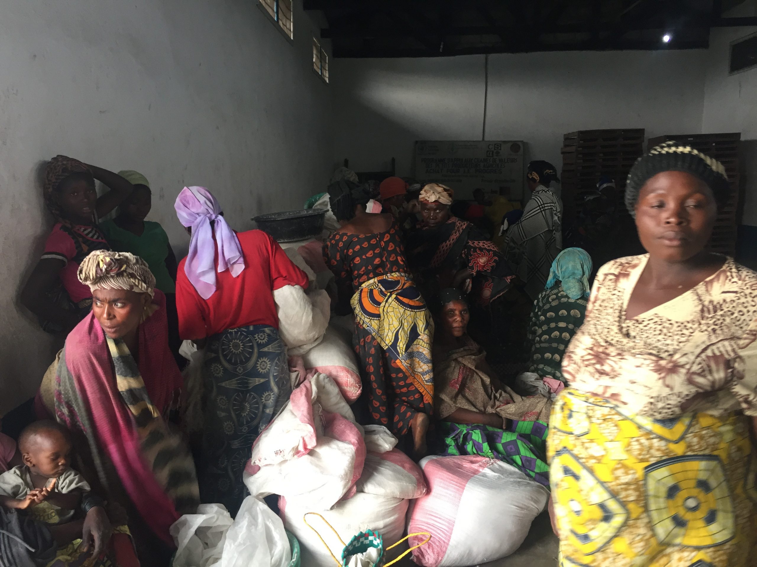 Rutshuru : Le programme conjoint PAM-FAO de résilience communautaire, apprécié par la population locale (Nord-Kivu)