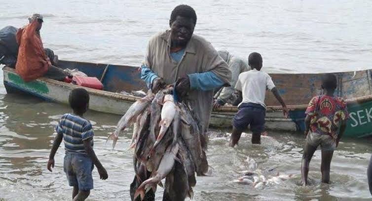 Nord-Kivu : La FECOPEILE sollicite au ministre des hydrocarbures, son soutien dans la lutte contre l’exploitation du pétrole dans les aires protégées en RDC