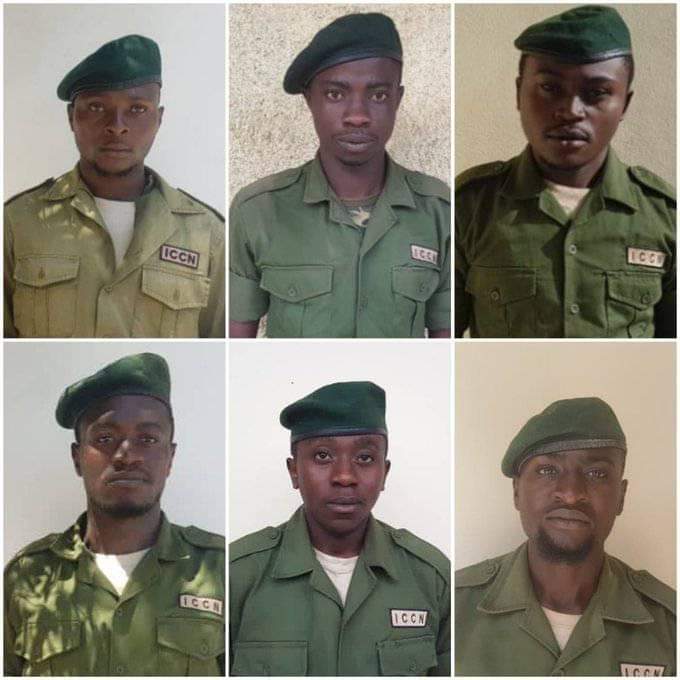 Nord-Kivu : Des éco-gardes ont été tués