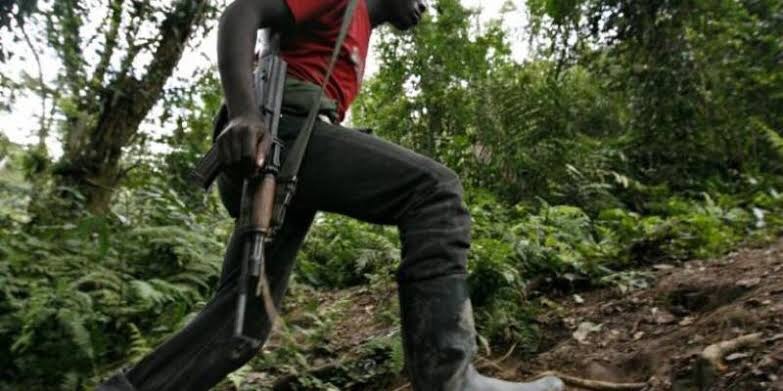 Lubero : Une trentaine des miliciens déposent les armes (Nord-Kivu)