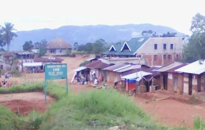 Beni: Une dizaine de civils enlevés à Kisanga et Vukulula