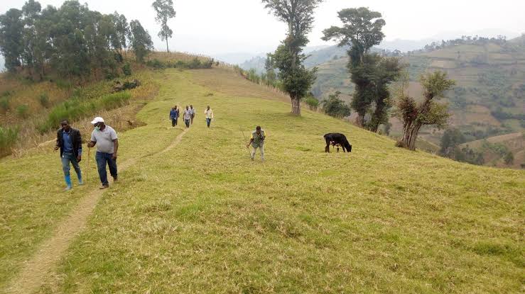 Masisi:Assassinat d&rsquo;un jeune leader engagé dans la sensibilisation pour la réédition des groupes armés