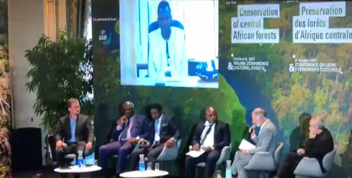RDC:Lutte contre la déforestation, un défi pour les habitants de la ville de Goma