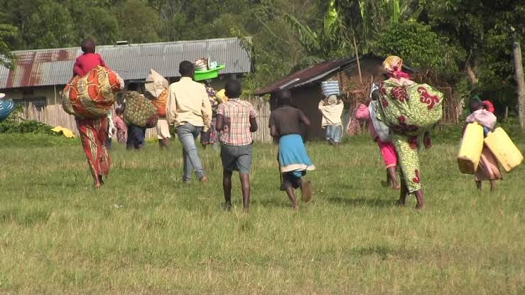 Beni: Au-moins 8 civils tués et un présumé ADF neutralisé dans le secteur Beni-Mbau