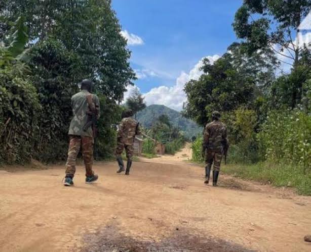 Beni: Nouvelle attaque des rebelles ADF fait des morts en Secteur de Ruwenzori