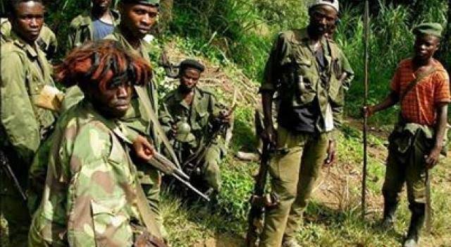 Beni:La société civile de Ruwenzori alerte sur l&rsquo;érection de bastions des ADF dans plusieurs villages.