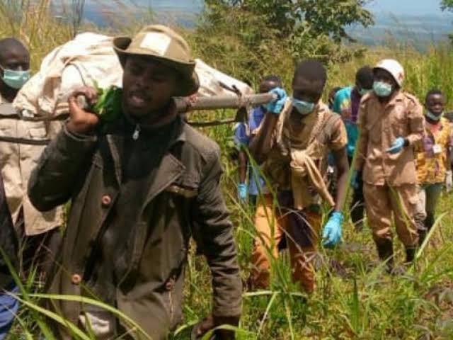 Beni:14 personnes tuées par les ADF et une dizaine des maisons brûlées à Kikura
