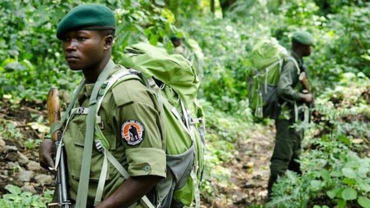 Rutshuru:le PNVI rejette l&rsquo;accusation de la grande société civile du Congo.