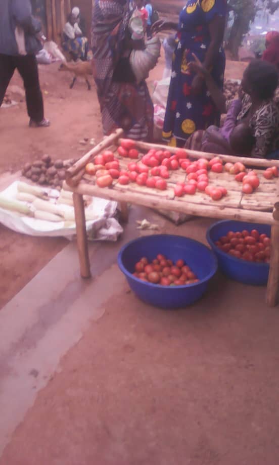 Lubero: La tomate ,une denrée chère au marché de Kirumba-Kayna, une opportunité à saisir pour les agriculteurs.