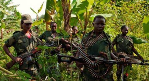 Nord-Kivu: les rebelles FDLR constituent encore une menace pour les habitants de Rutshuru.