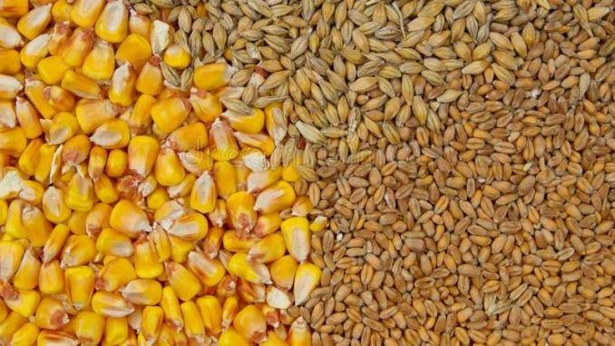 Monde: la Russie et l&rsquo;Ukraine se conviennent pour l&rsquo;exportation des céréales en Afrique
