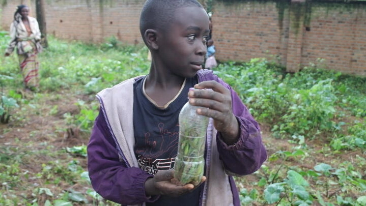 Butembo : Le parlement d&rsquo;enfants dénonce l&rsquo;exploitation des enfants pour des fins des sauterelles