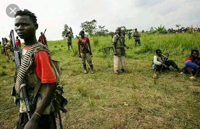 Masisi : Des morts et des blessés dans un accrochage entre Nyatura et M23 à Kausa et Rushinga (Nord-Kivu)