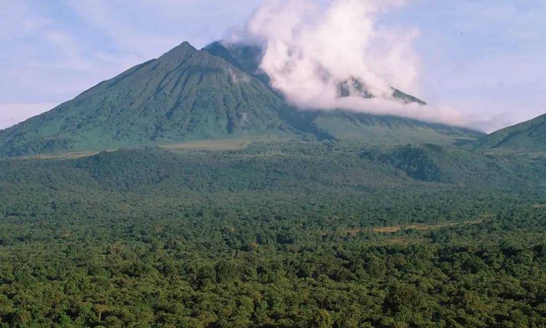 Nord-Kivu : «Nous pouvons gagner plus sans détruire ou céder nos forêts» ( Me Olivier Ndoole)