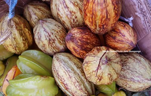 Beni : Menace d’exclusion du Cacao et du café de la RDC du marché de l’UE, la FEC redoute de conséquences sociales fâcheuses