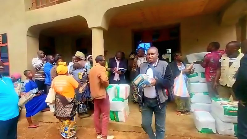 Nord-Kivu : Campagne agricole – une nouvelle variété de semence améliorée de haricots introduite dans la chaîne agricole à Lubero