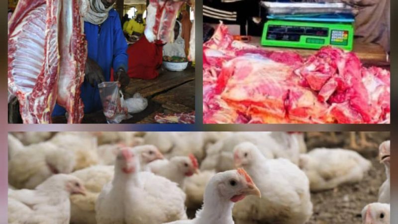 Goma : Flambée des prix de la viande et pénurie de poulets, le coût de la vie s&rsquo;alourdit