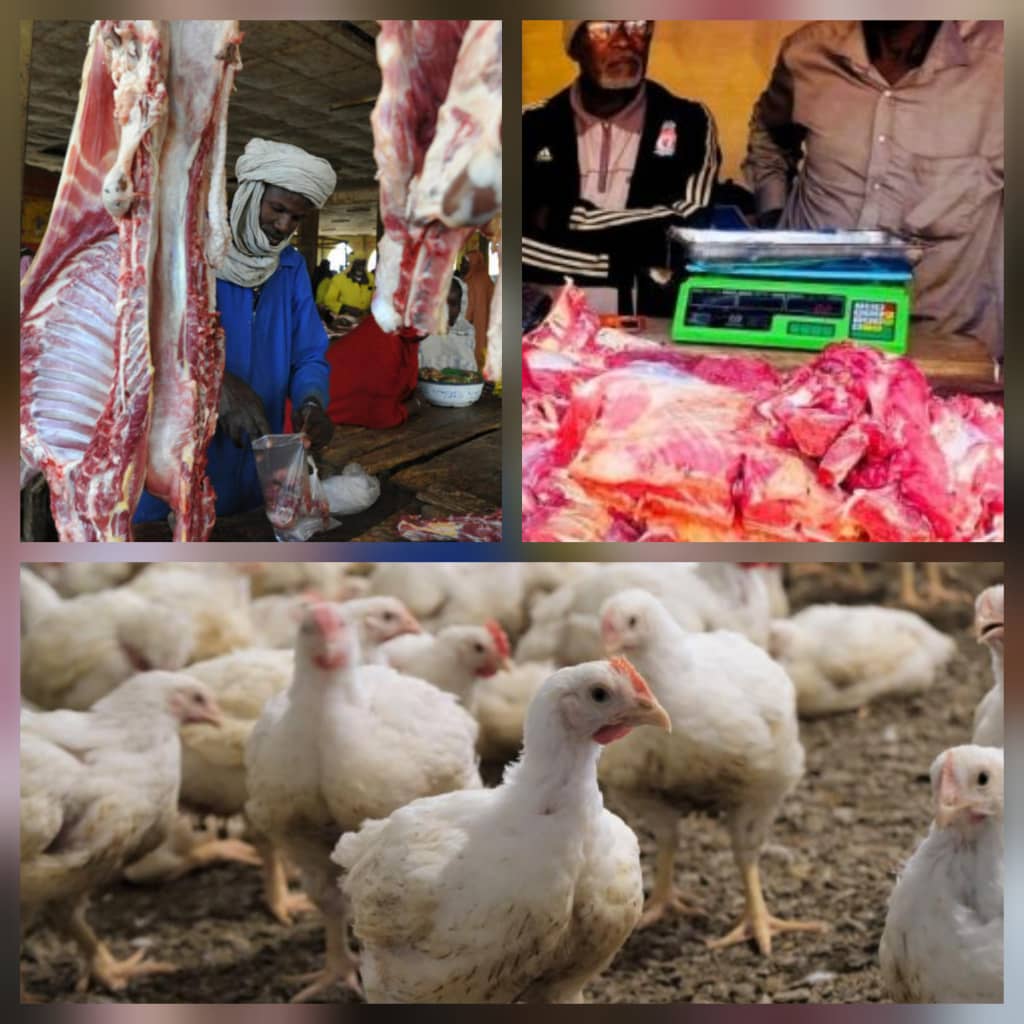 Goma : Flambée des prix de la viande et pénurie de poulets, le coût de la vie s&rsquo;alourdit